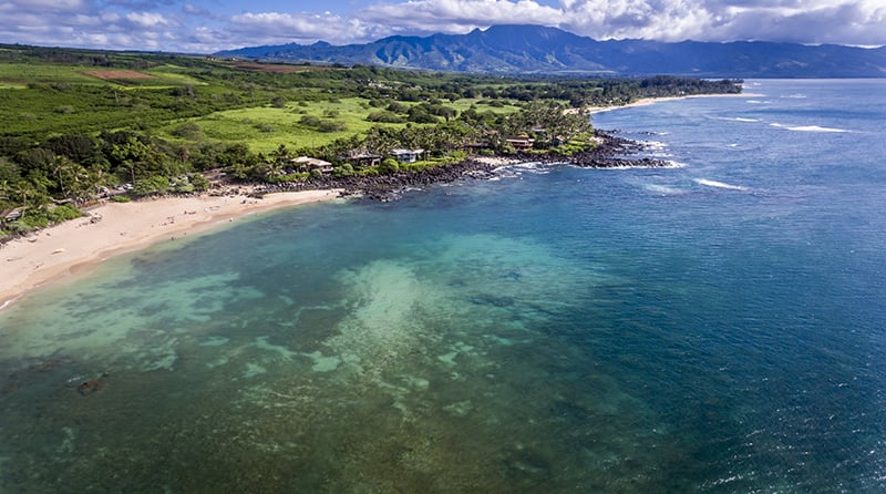 Coming Soon: Turtle Bay Resort